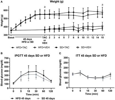 Induction of diabetes by Tacrolimus in a phenotypic model of obesity and metabolic syndrome